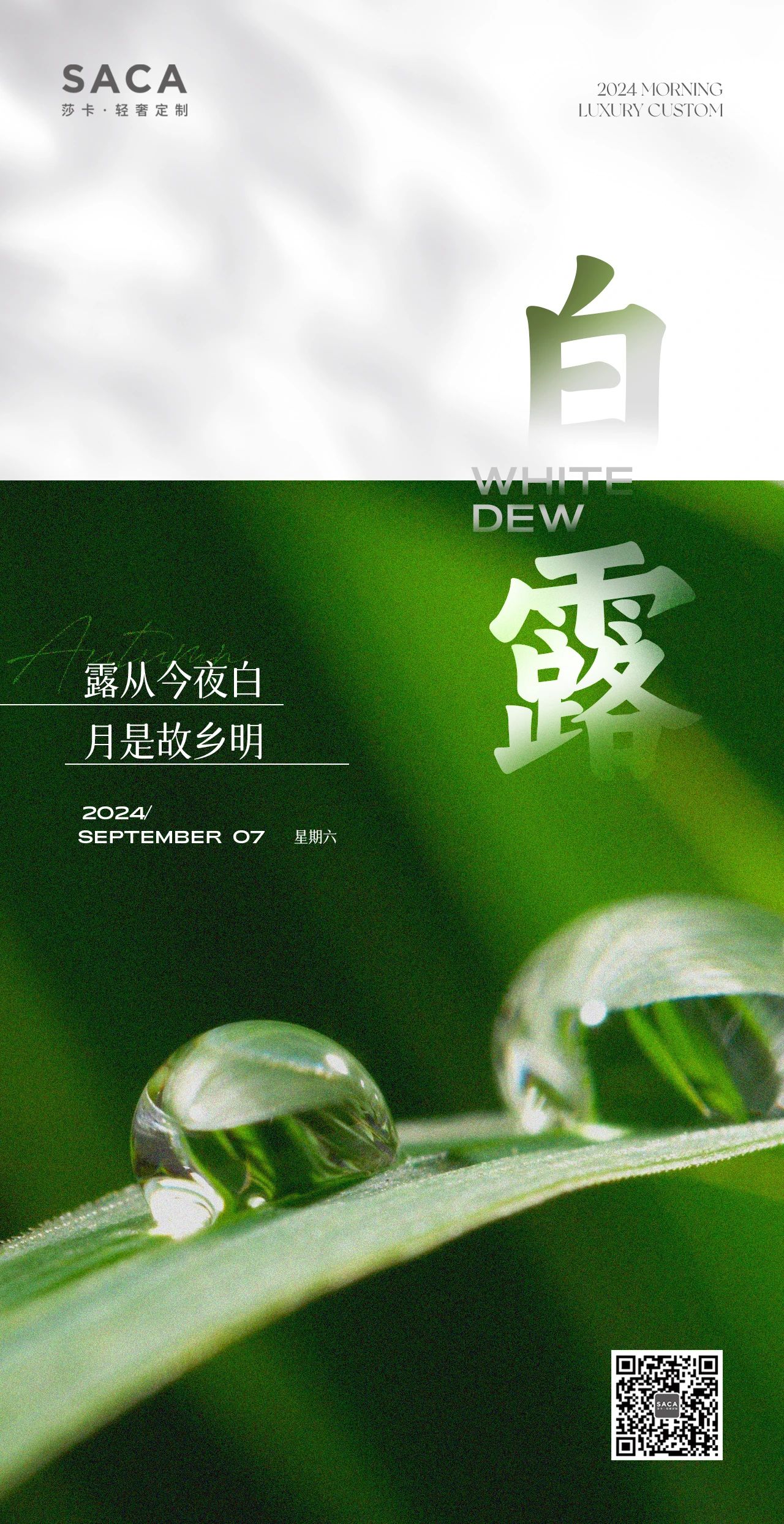 莎卡轻奢定制：白露(图1)